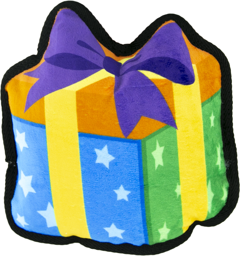 Play On Tough Birthday Gift Dog Toy, 8 Inches