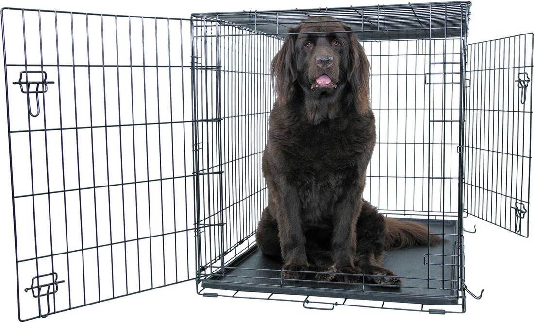 Play On Double Door Crate - Image 4
