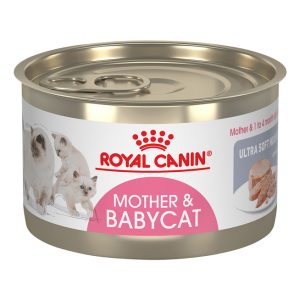 Royal Canin® Feline Health Nutrition™ Mother & Babycat Ultra Soft Mousse In Sauce Wet Cat Food, 5.1