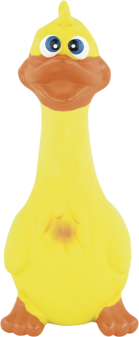 Play On Latex Duck Dog Toy