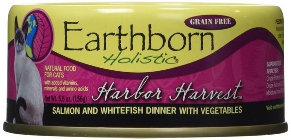 Earthborn Holistic® Wet Cat Food - Image 2
