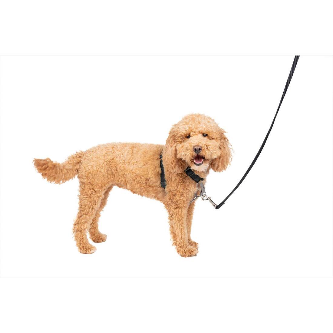 PetSafe® Harness 3 In 1 - Image 4