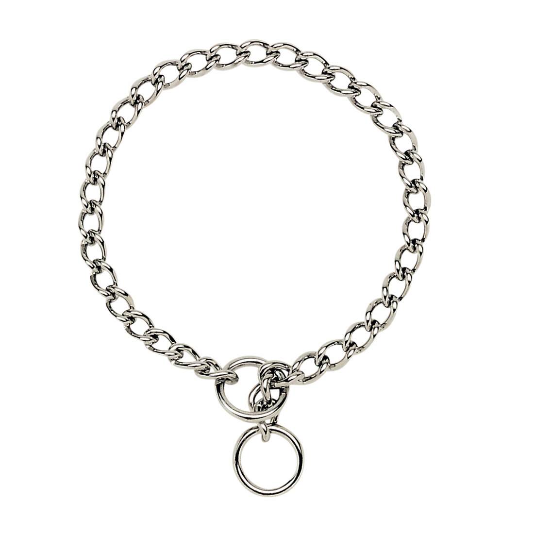 Coastal Titan® Chain Training Dog Collar - Image 3