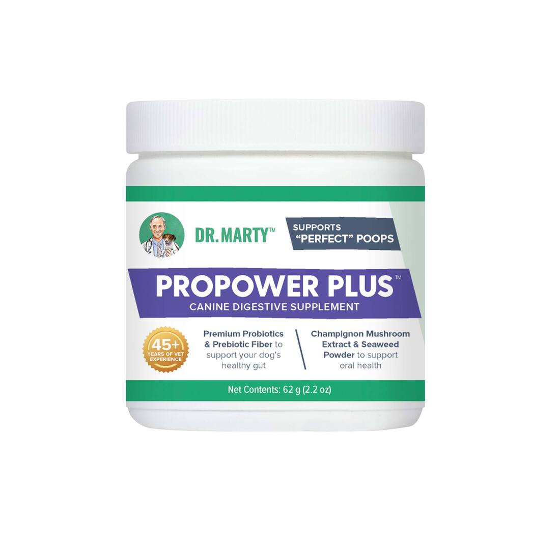 Dr. Marty Pro Power Plus Powder, 2.2 Ounces