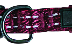 Play On Adventure Reflective Dog Collar, Wine