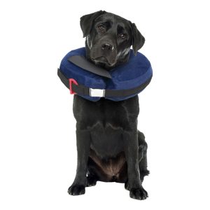 Calm Paws Inflatable Protective Collar