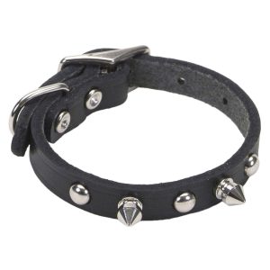 Coastal Pet Products Circle T Oak Tanned Leather Spiked Dog Collar