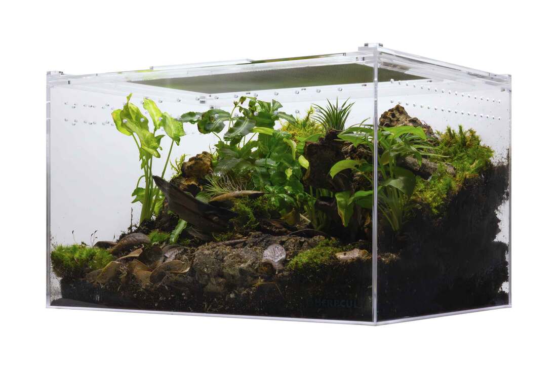 Herpcult Acrylic Enclosure, Screen Top, Extra Large, 12X16X10