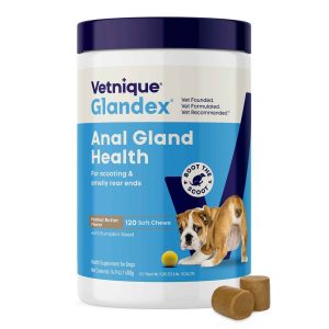 Vetnique Glandex for Dogs Anal Gland & Digestive Support Soft Chews, Peanut Butter, 120 count