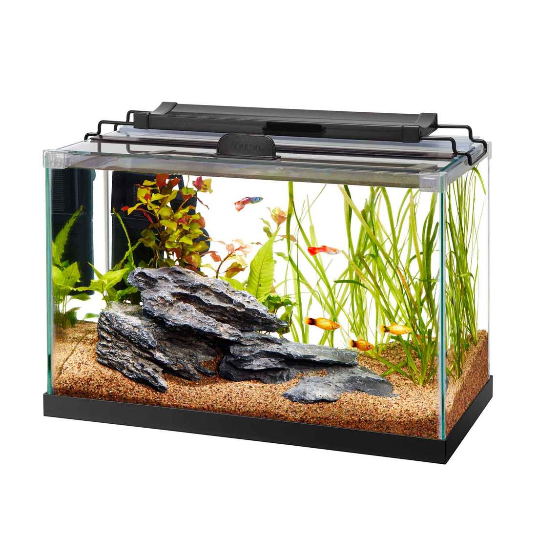 Aqueon Rimless Rectangle Aquarium - Image 2