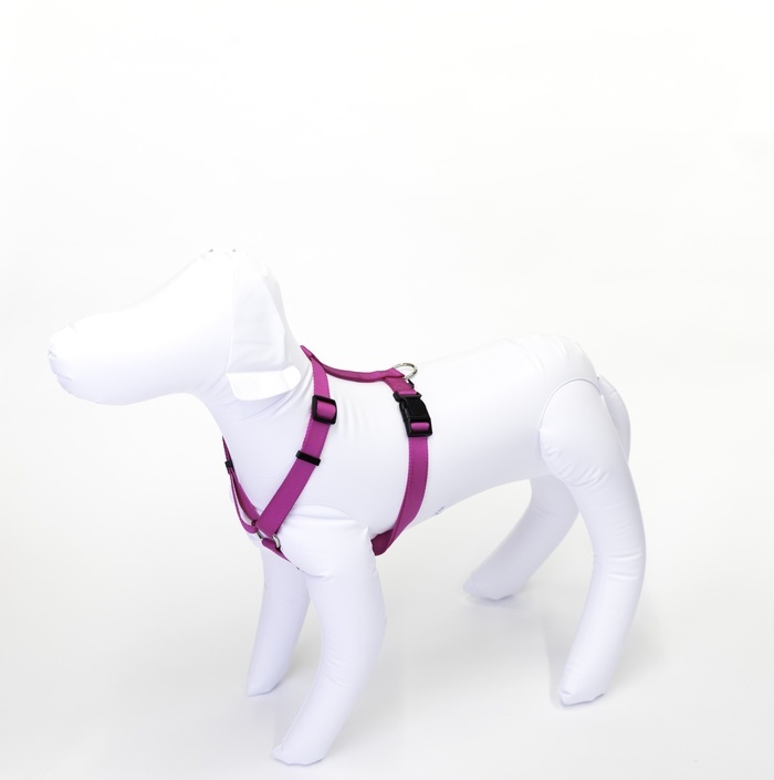 PS+ Dog Harness 20-30 Inches - Image 5