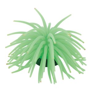 Fins First Sea Anemone Green, Large