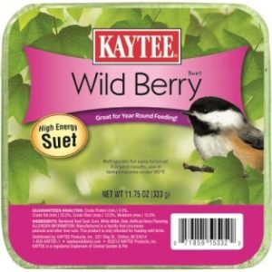 Kaytee Suet/Cake Feeders Wild Bird Food, Wild Berry, 11.75 Ounces