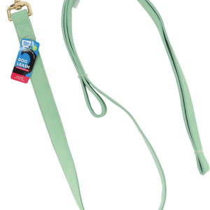 Play On Faux Leather Dog Leash, Mint