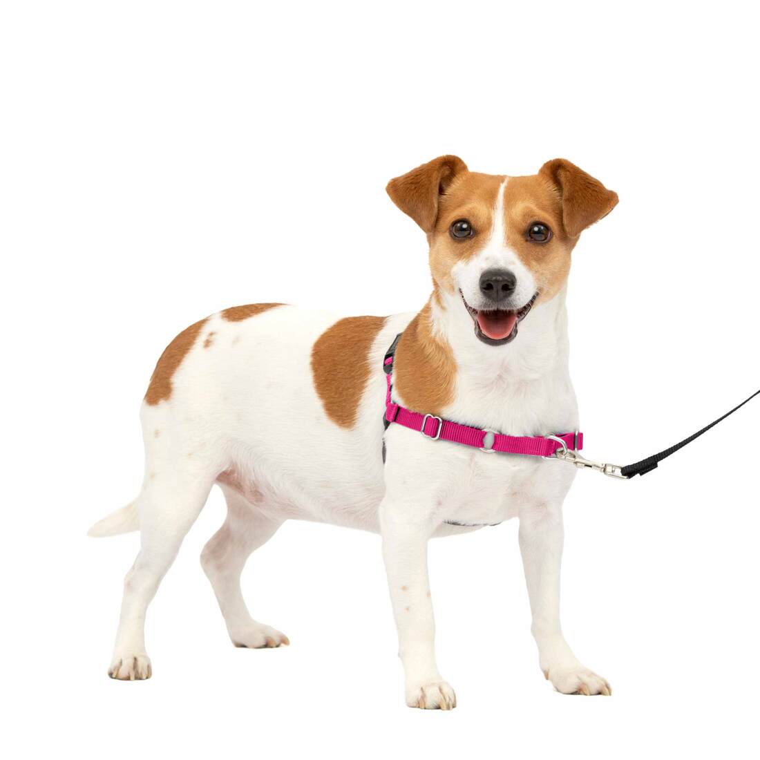 PetSafe® Easy Walk® Harness - Image 5