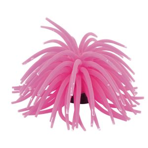Fins First Sea Anemone Pink, Large