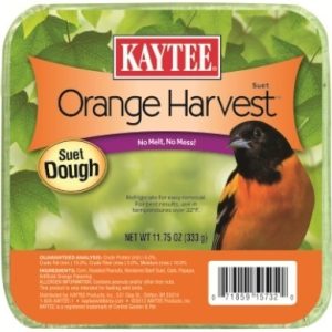 Kaytee Suet/Cake Feeders Wild Bird Food, Orange Harvest, 11.75 Ounces