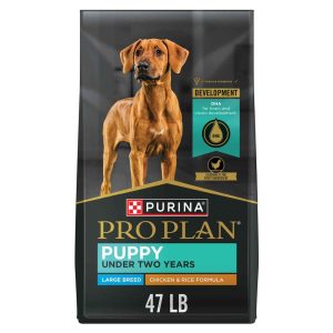 Purina Pro Plan Large Breed Dry Puppy Food, FOCUS Chicken & Rice Formula