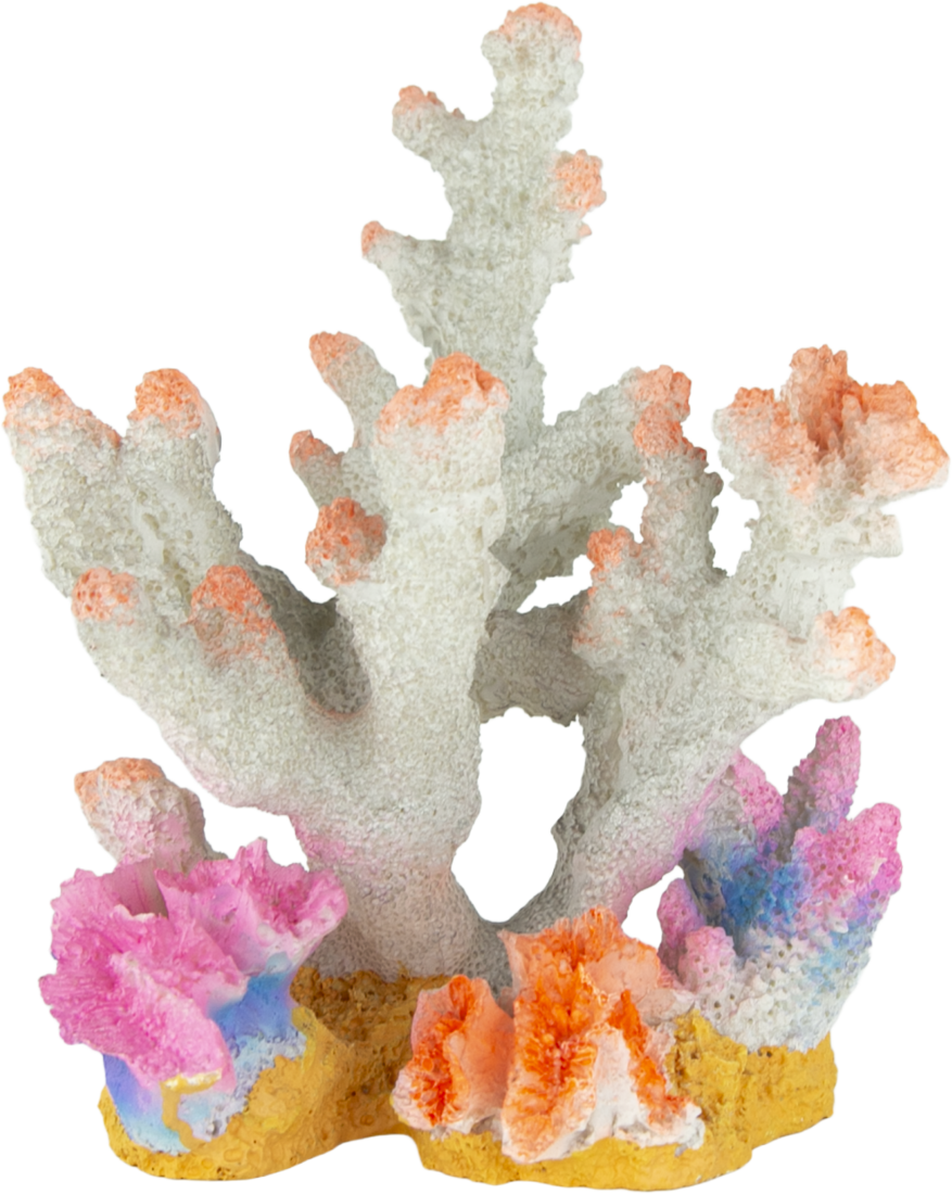 Fins First Aquarium Décor, Coral Reef