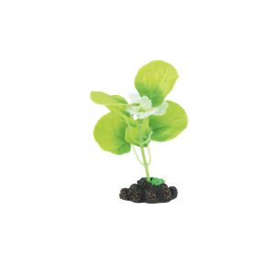 Fins First Silk Plant Green And Yellow, Small