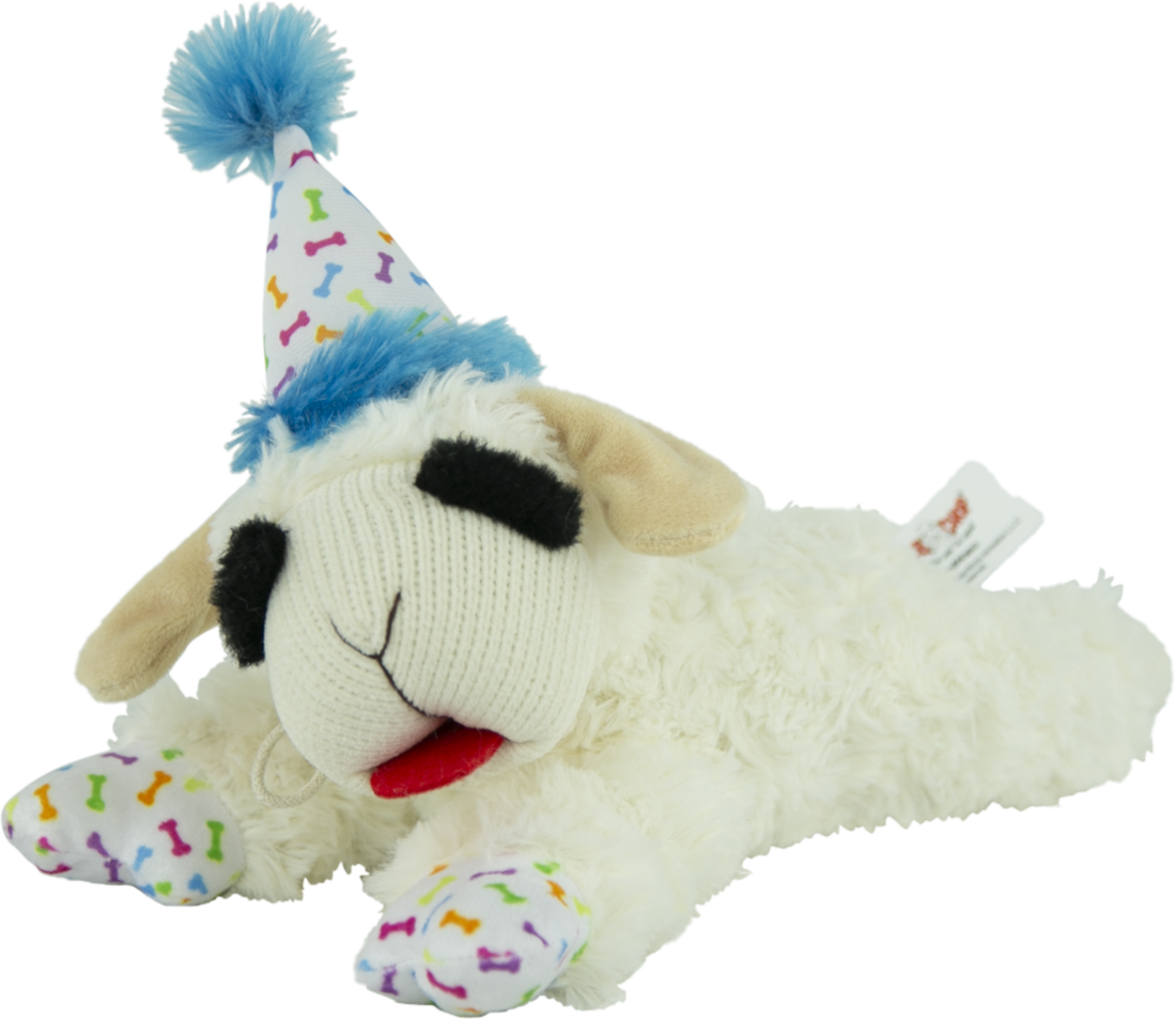 Play On Lamb Chop® with Birthday Hat Dog Toy, Assorted, 10 Inches
