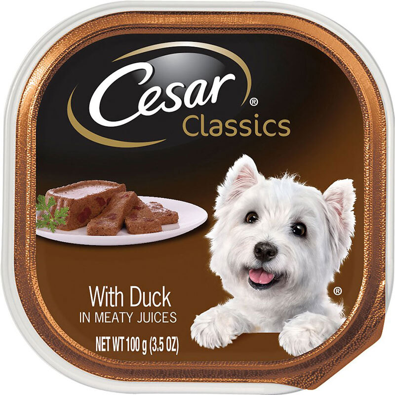 CESAR Canine Cuisine Wet Dog Food - Image 3