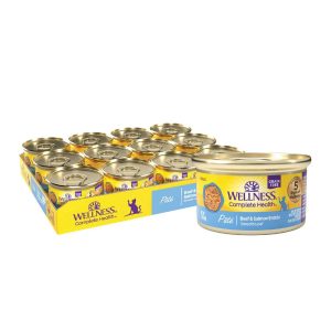 Wellness Complete Health Natural Grain Free Wet Canned Cat Food, Beef & Salmon Pate, 3-Ounce Can