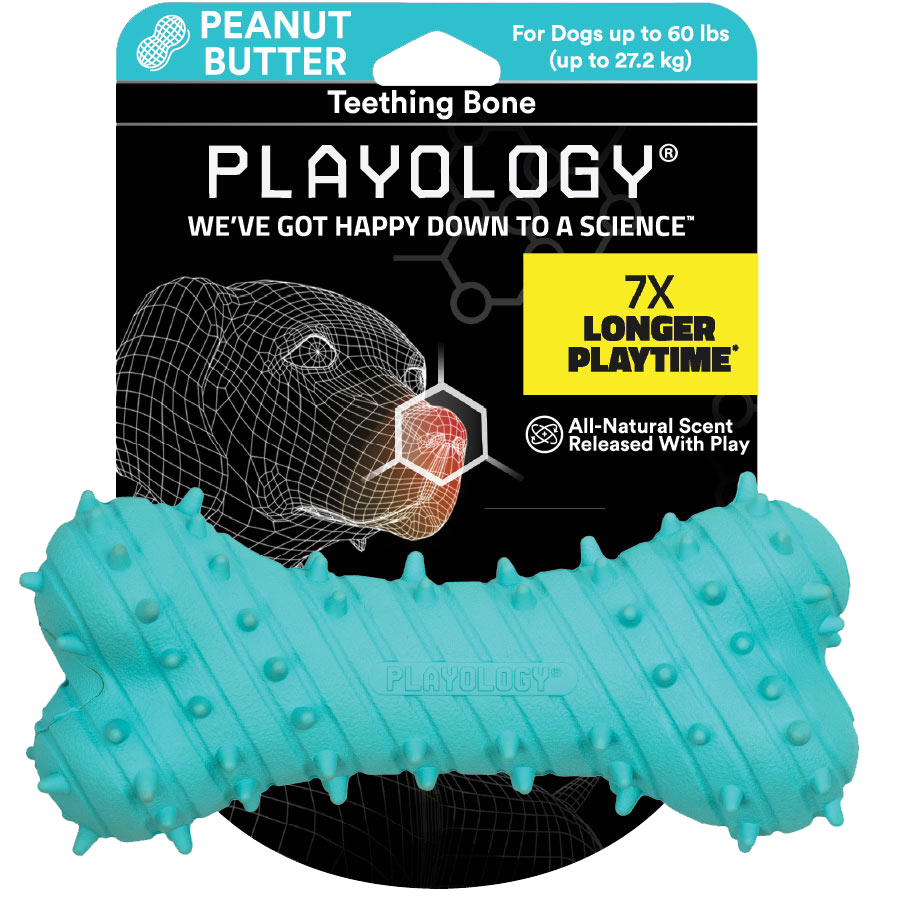 Playology Teething Bone Dog Toy, Peanut Butter, Large
