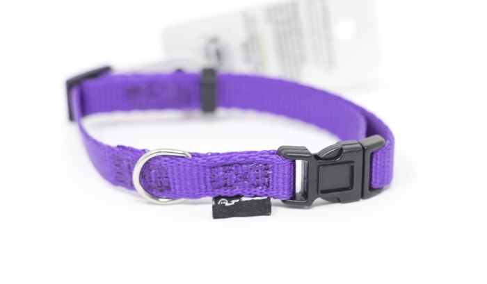 PS+ Dog Collar 8-12 Inches - Image 2
