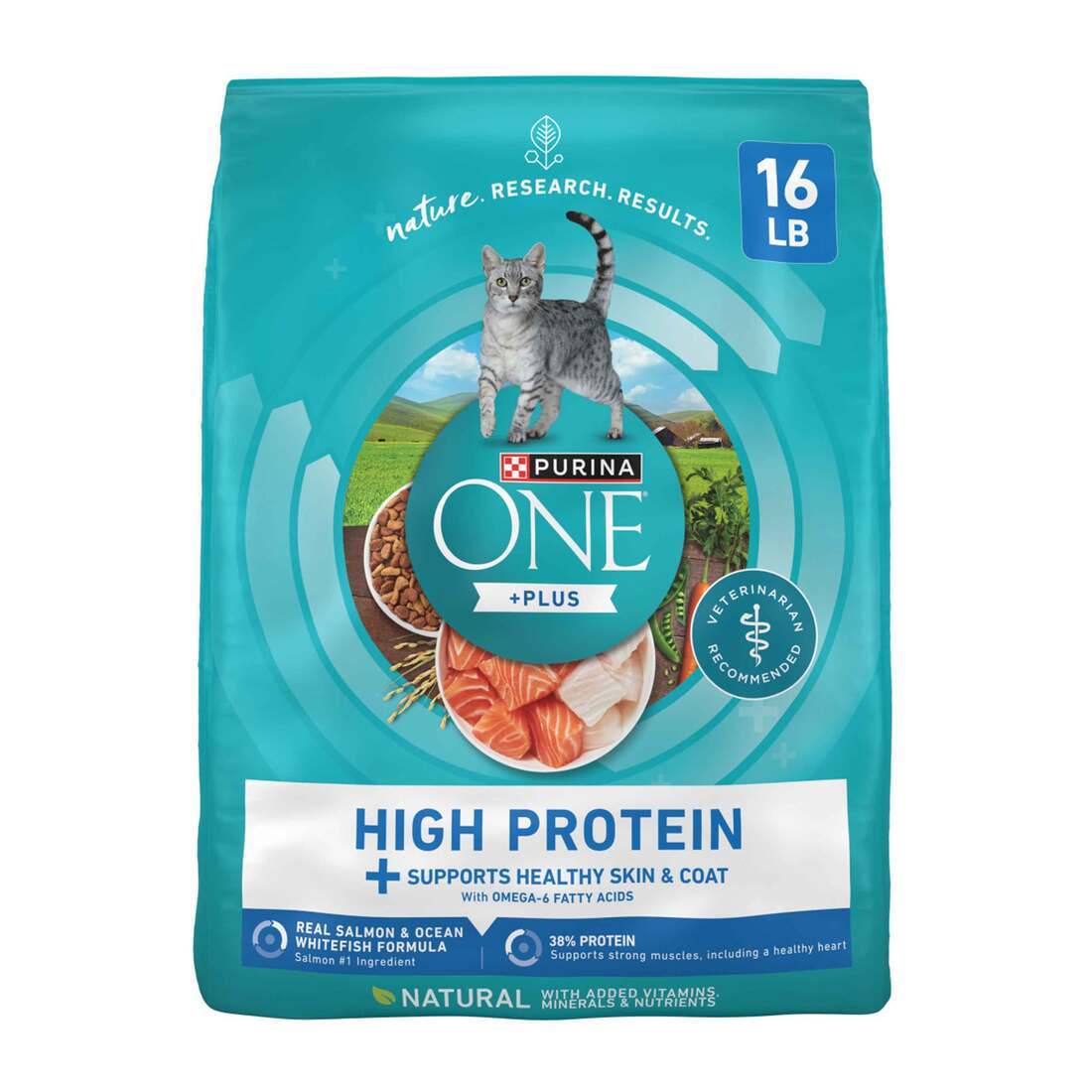 Purina ONE Plus High Protein Dry Cat Food, Salmon and Ocean Whitefish