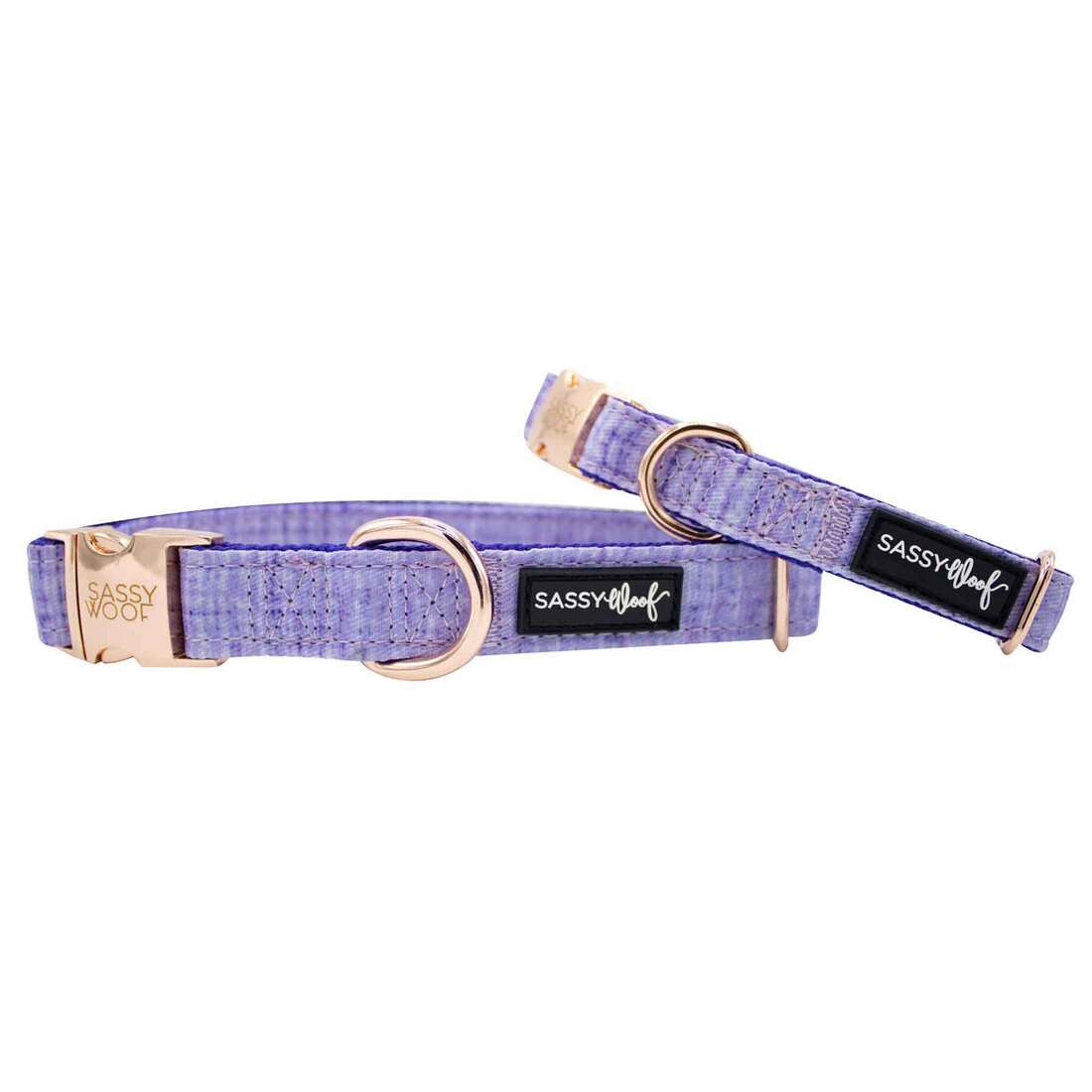 Sassy Woof Dog Collar, Aurora - Image 2