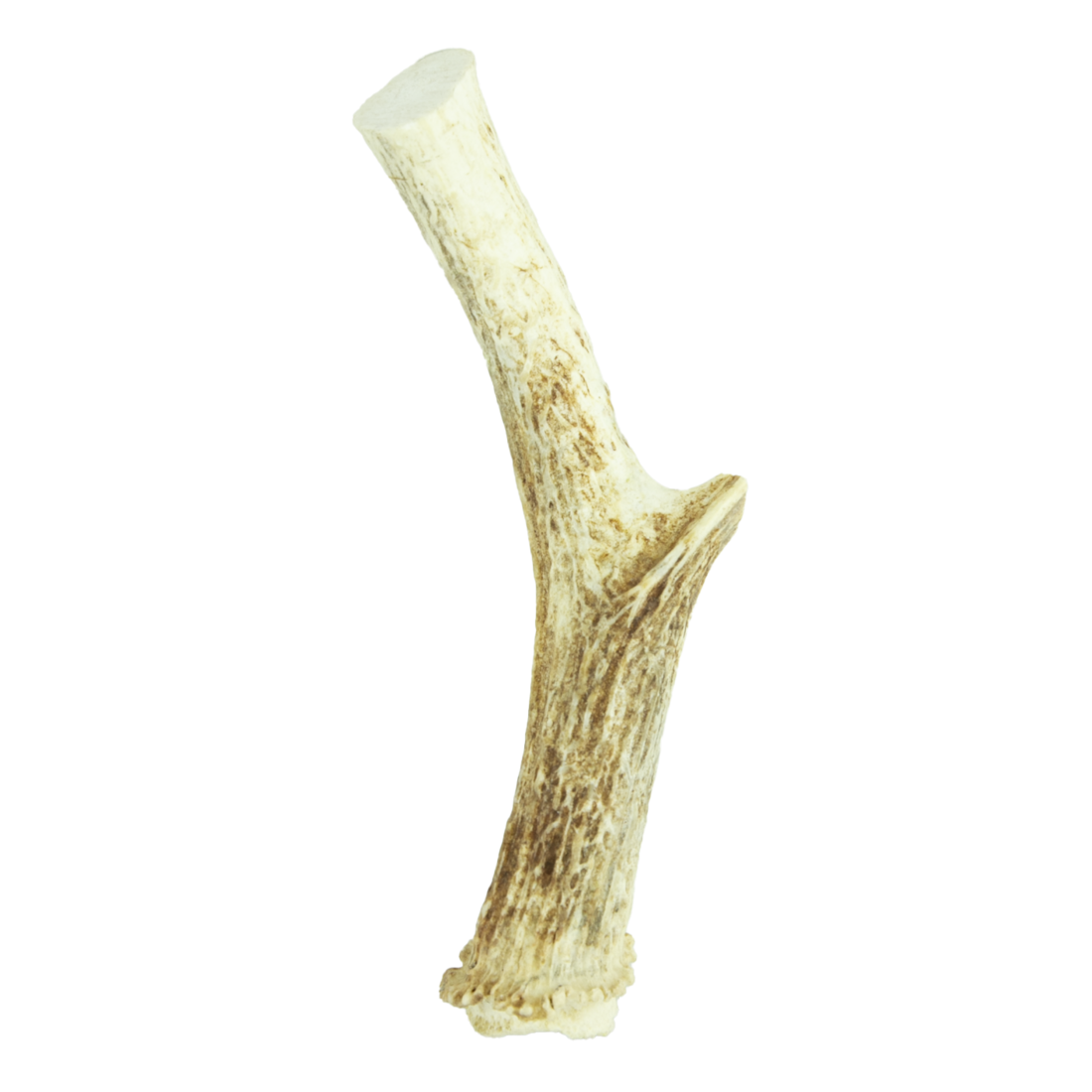 Wixom Ranch Natural Chews Whole Deer Antler