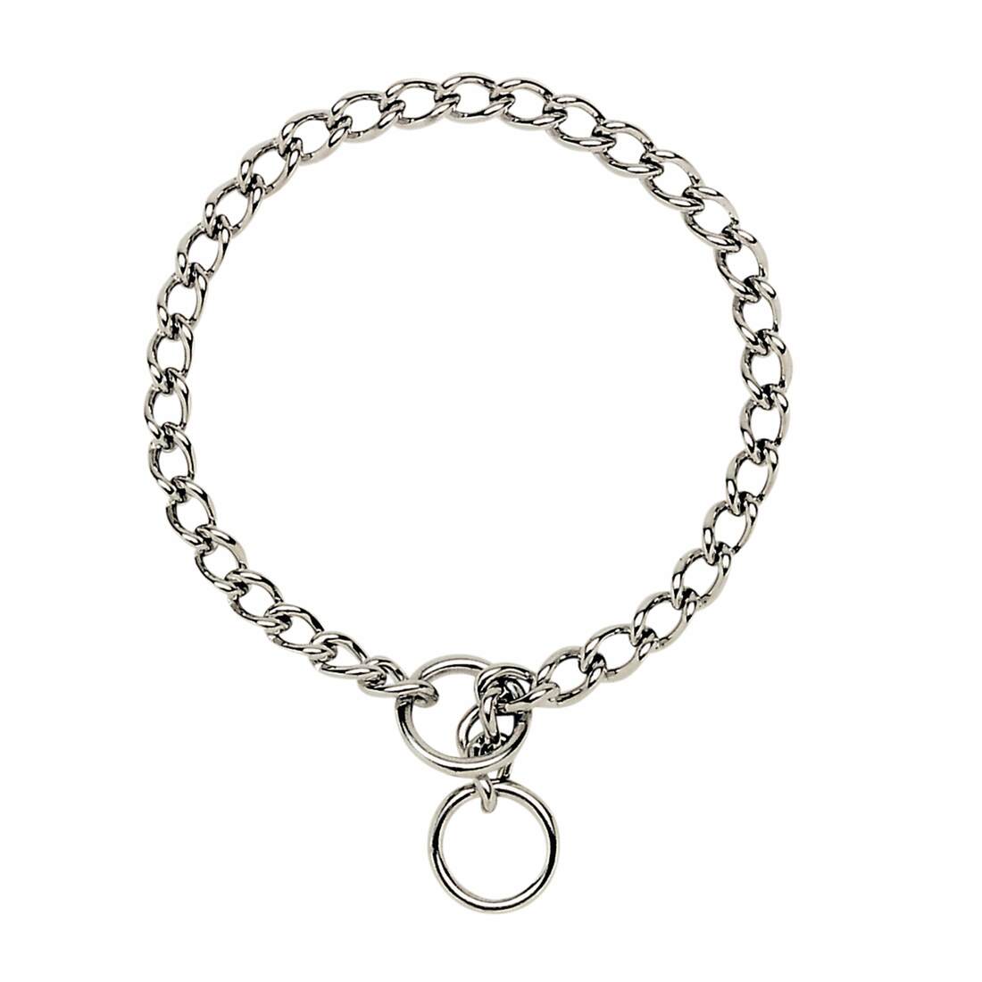 Coastal Titan® Chain Training Dog Collar