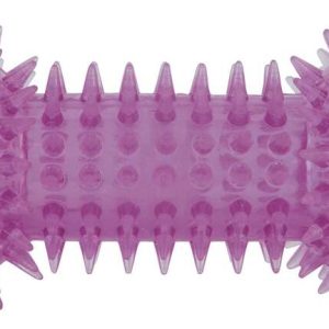Play On Fetch Spike Dumbell