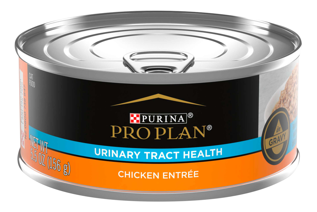 Purina Pro Plan Urinary Tract Health Chicken Entree in Gravy Cat Food - 5.5 Ounce Can