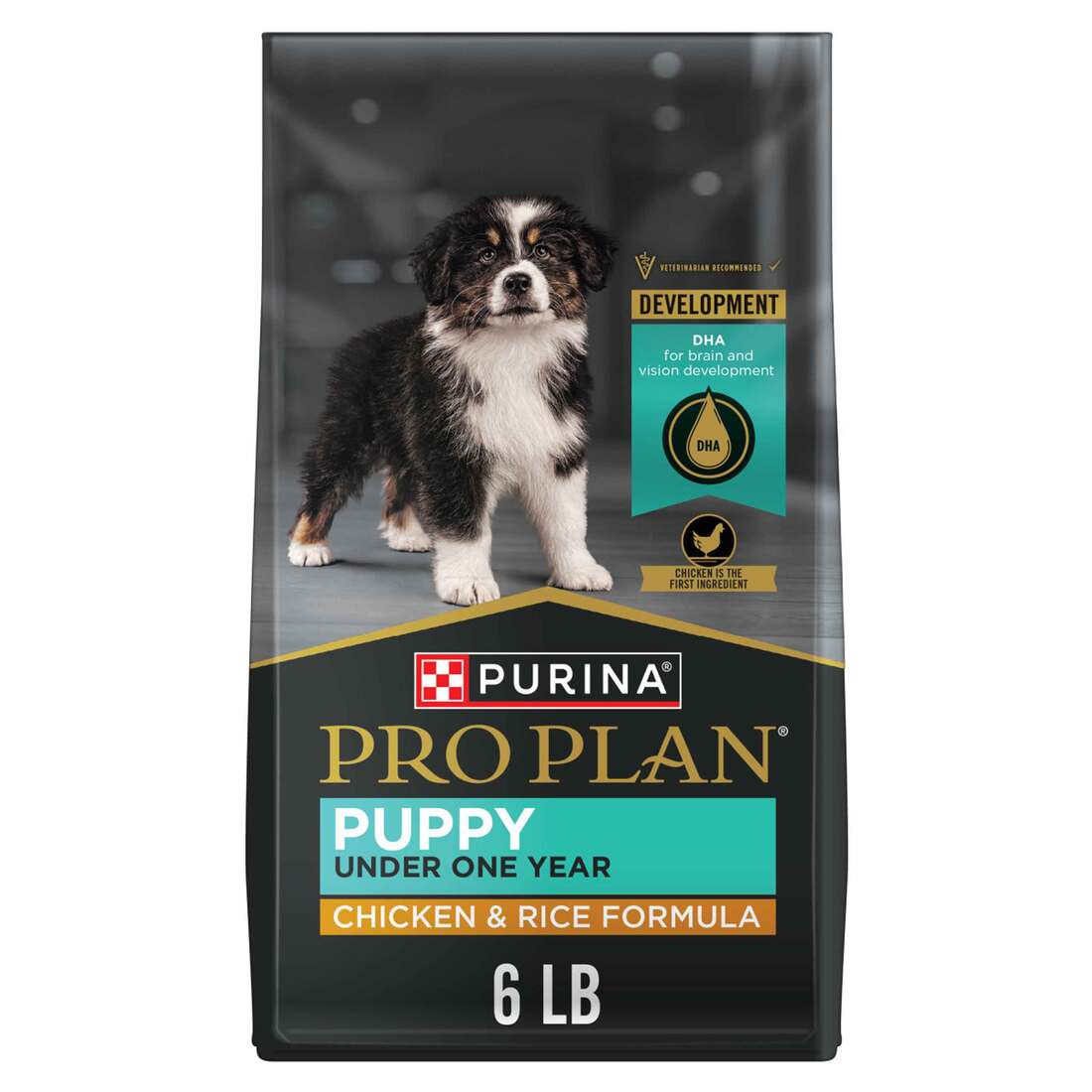 Purina Pro Plan Focus Puppy Chicken & Rice Formula Dog Food