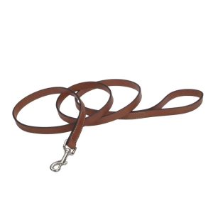 Circle T® Oak Tanned Leather Dog Leash, Tan