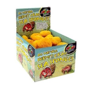 Zoo Med Labs Hermit Crab Sponge 1 Each