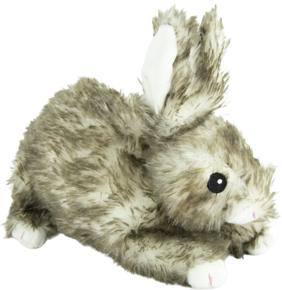 Play On Plush Rabbit Dog Toy